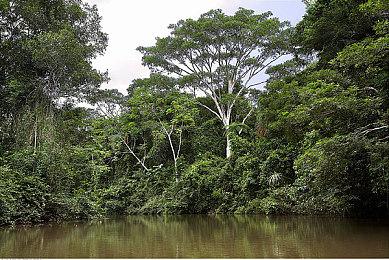 微软收购动视暴雪获得沙特、巴西和塞尔维亚的批准